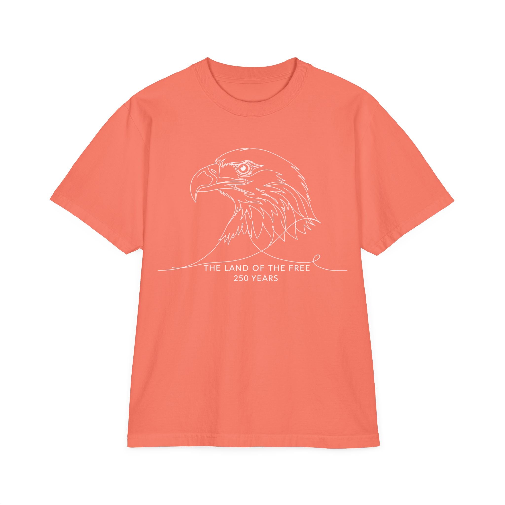 Unisex Garment-Dyed T-Shirt — Eagle Sketch 'The Land of the Free'