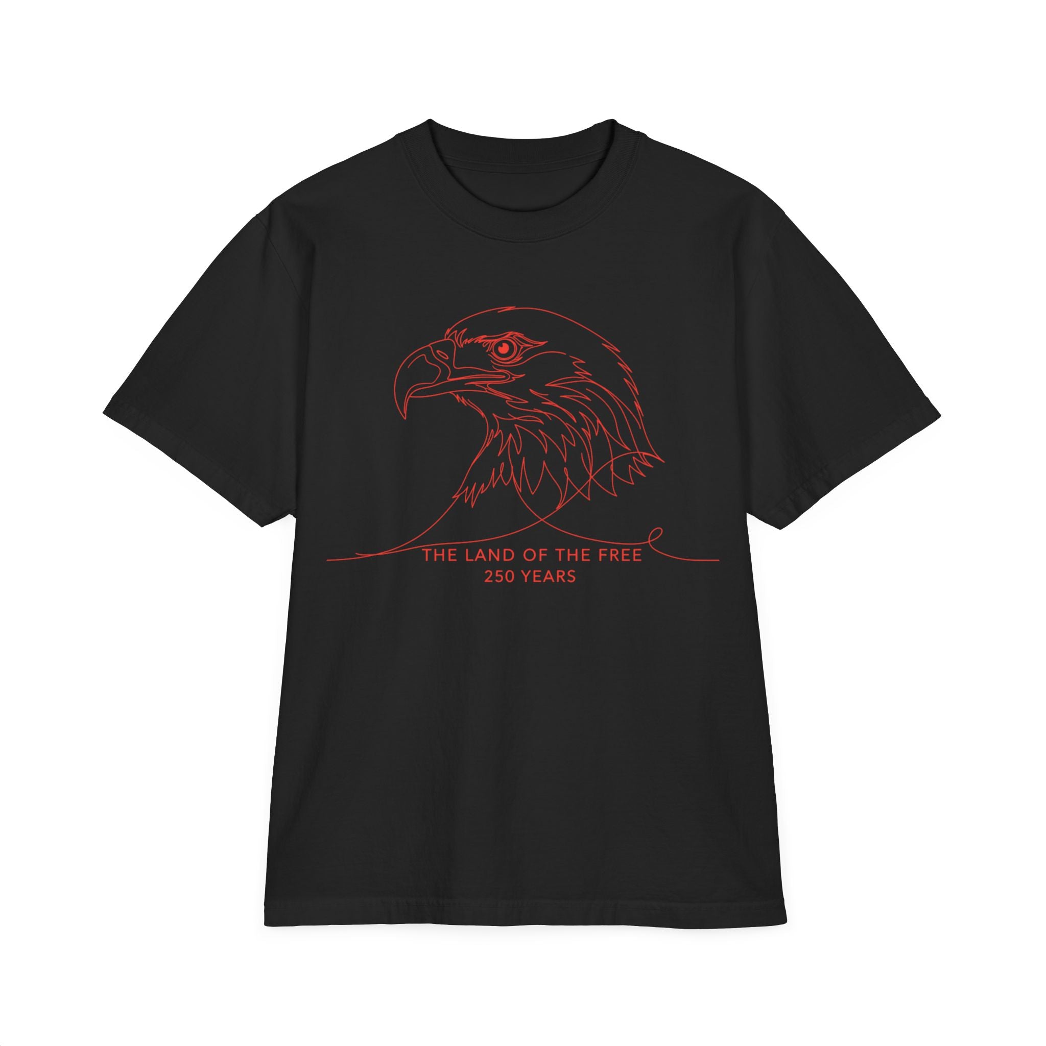 Unisex Garment-Dyed T-Shirt — Eagle Sketch 'The Land of the Free'