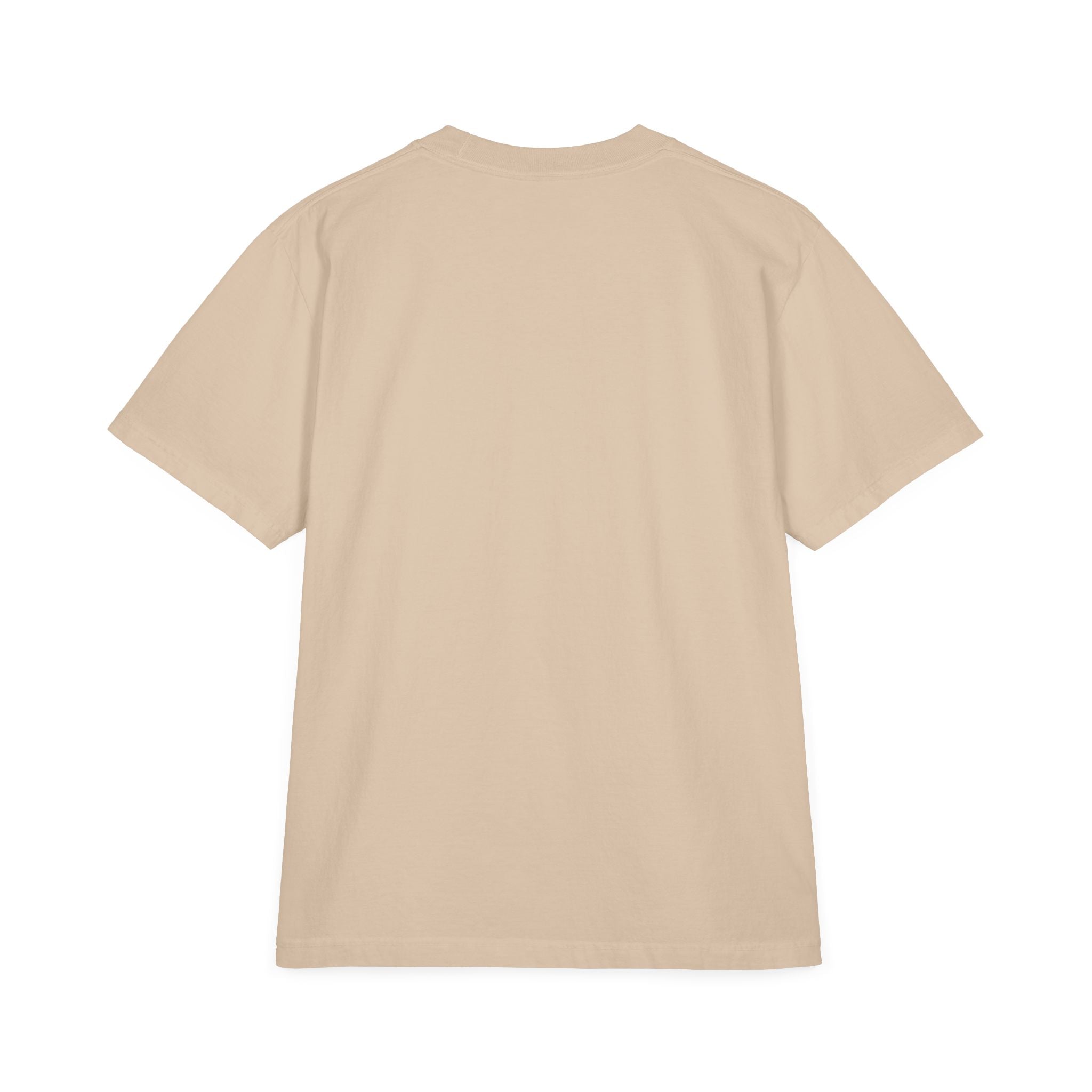 Unisex Garment-Dyed T-Shirt — America's 250th Eagle