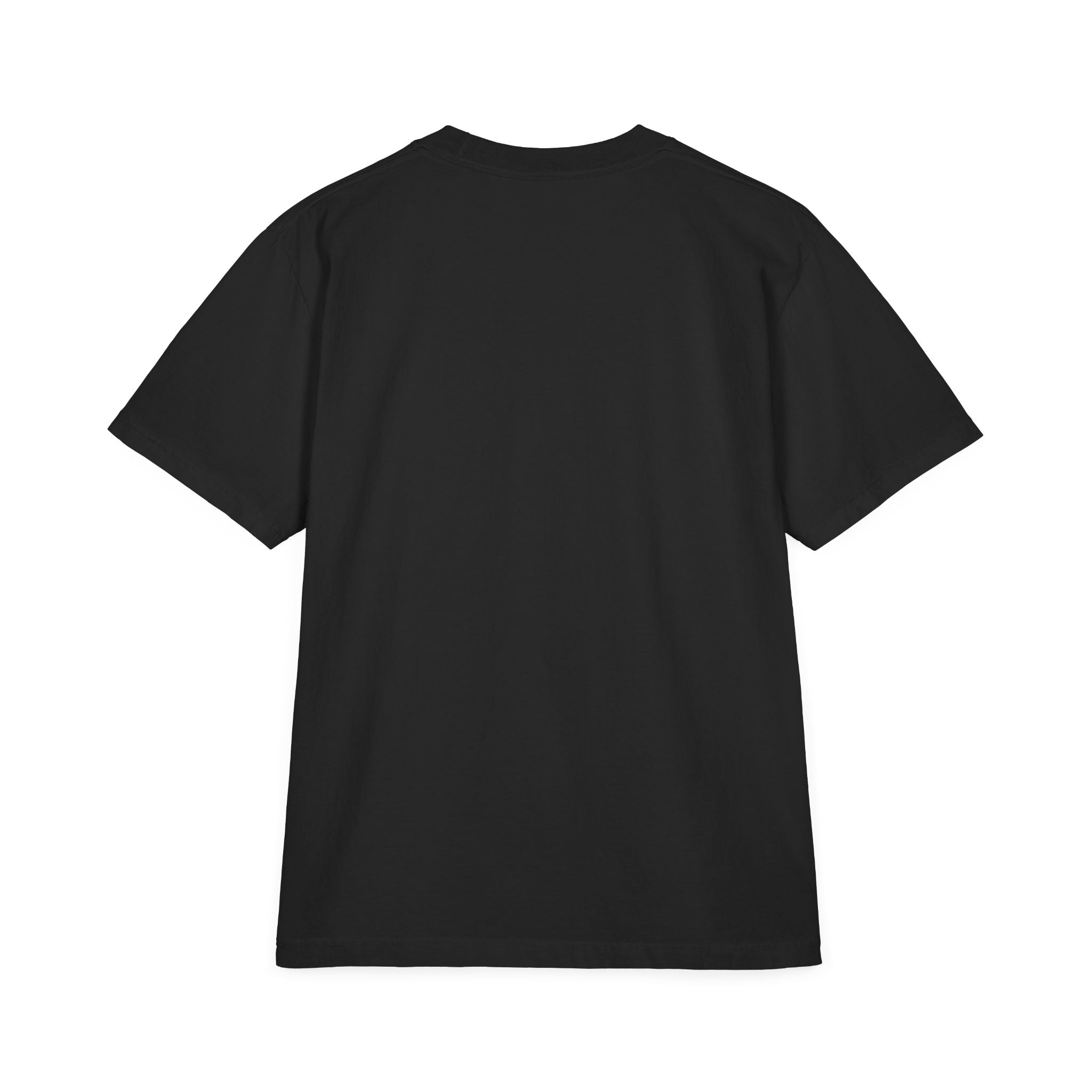 Unisex Garment-Dyed T-Shirt — Eagle Sketch 'The Land of the Free'