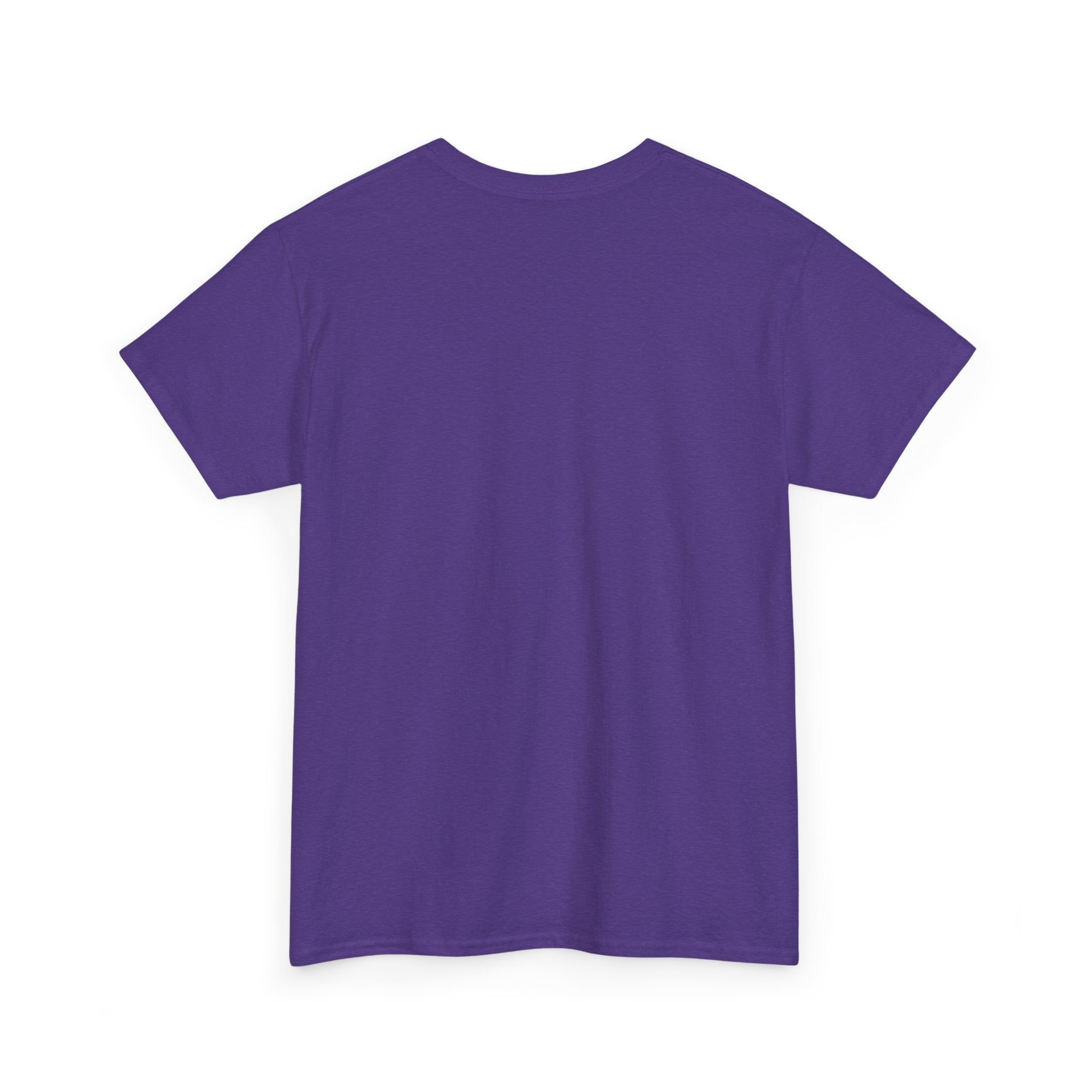 Unisex Heavy Cotton Tee — G42 "It's Stock"