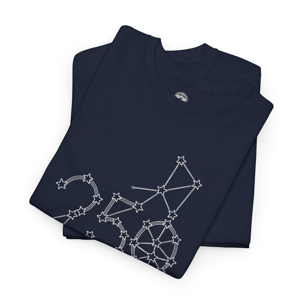Unisex Heavy Cotton Tee — 250th Anniversary "United We Stand"