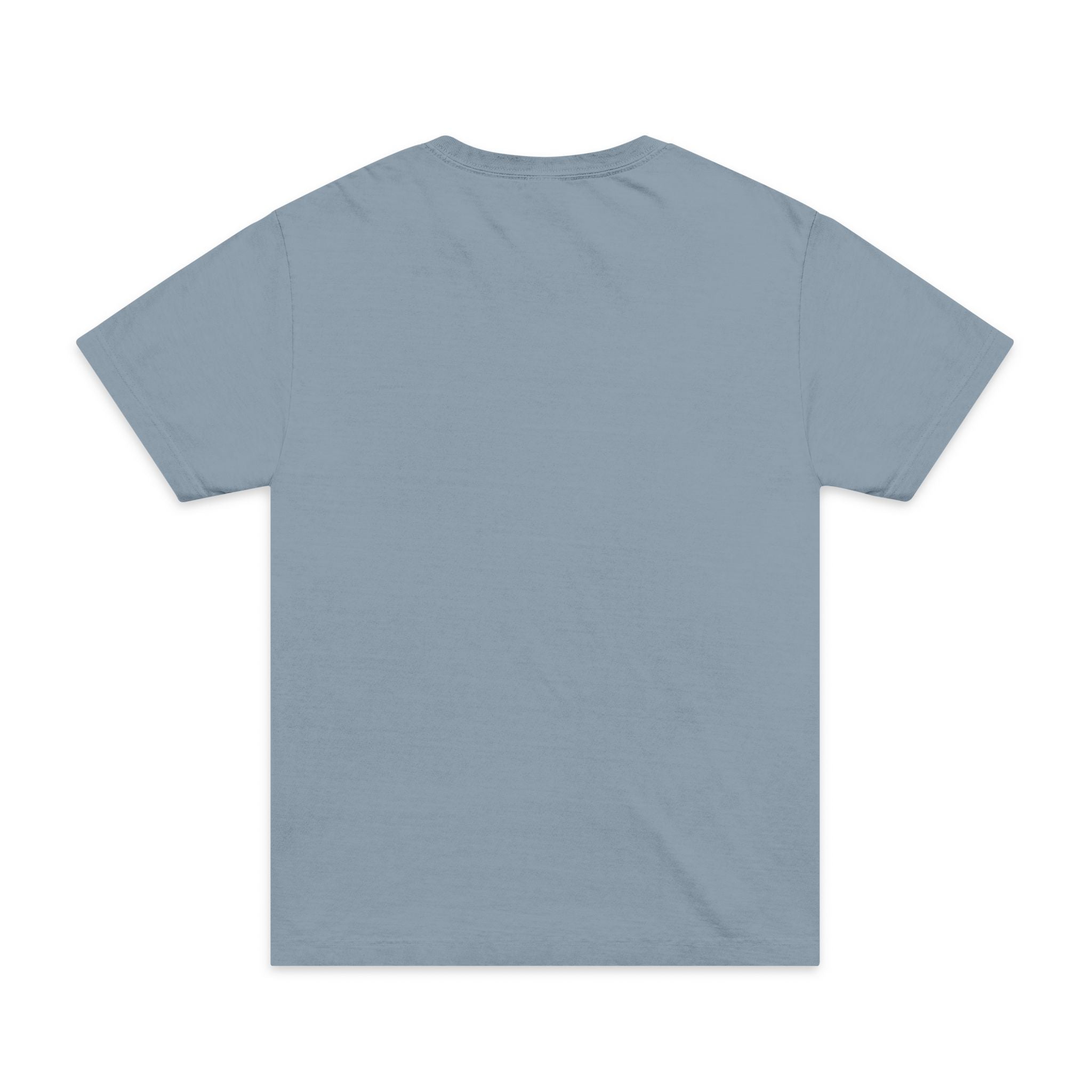 Unisex Garment-Dyed T-Shirt — F80 Blueprint