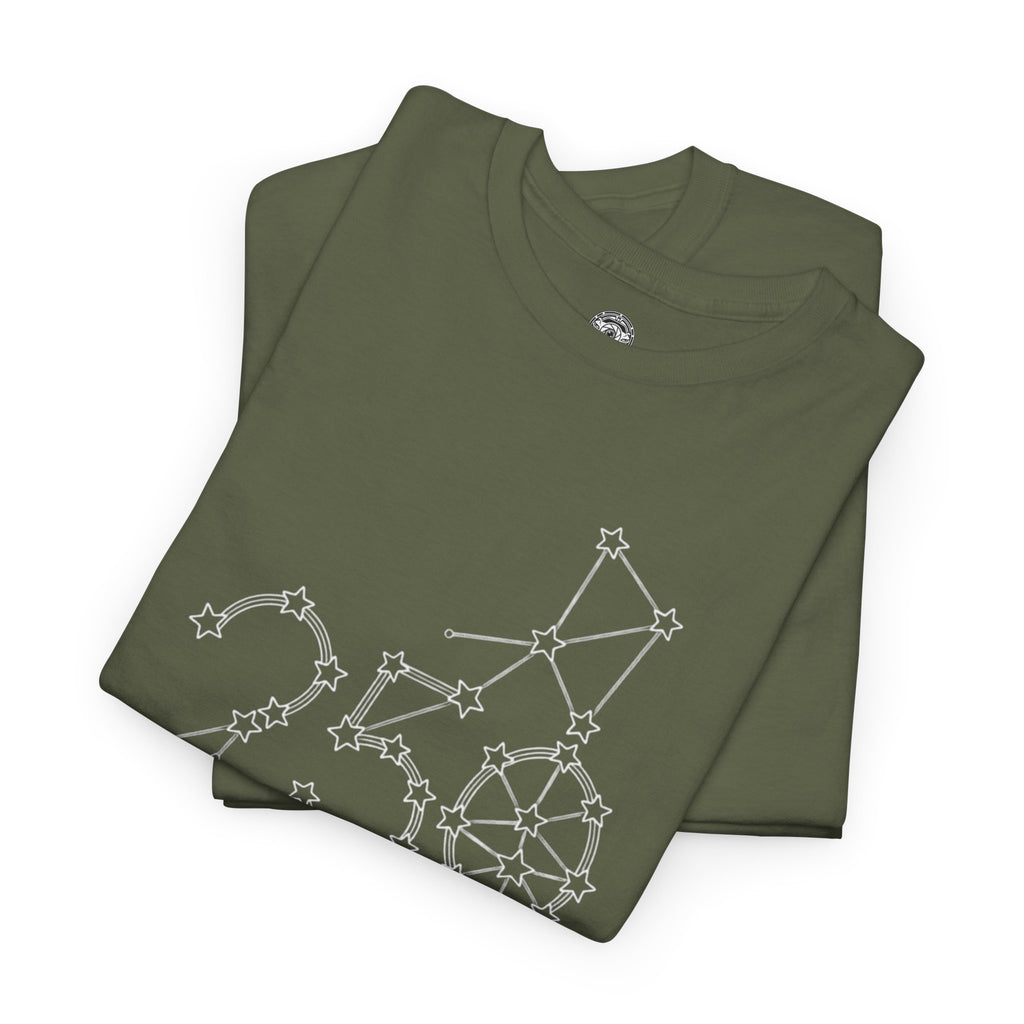 Unisex Heavy Cotton Tee — 250th Anniversary "United We Stand"