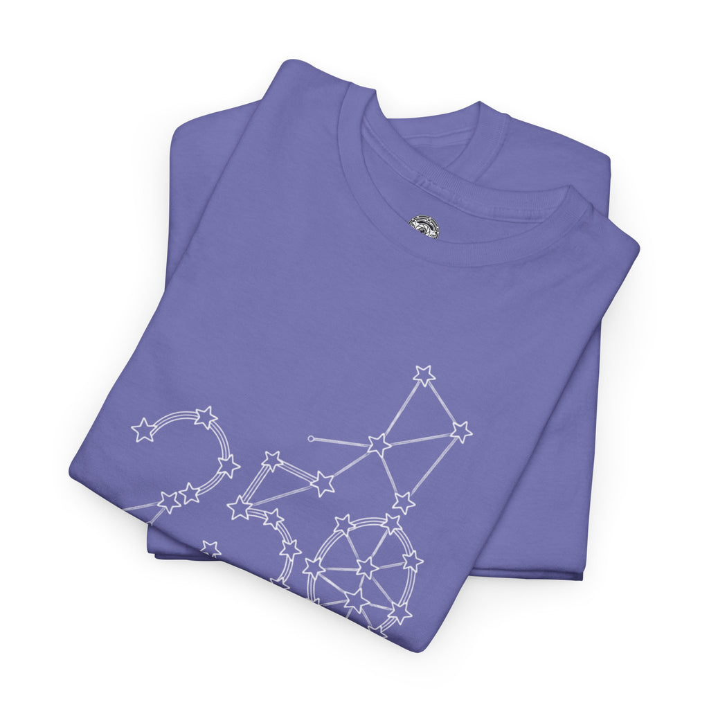 Unisex Heavy Cotton Tee — 250th Anniversary "United We Stand"