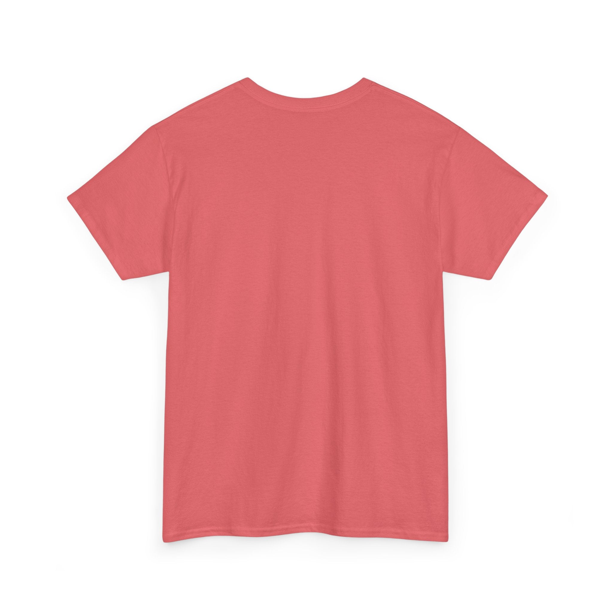 Unisex Heavy Cotton Tee — G42 "It's Stock"