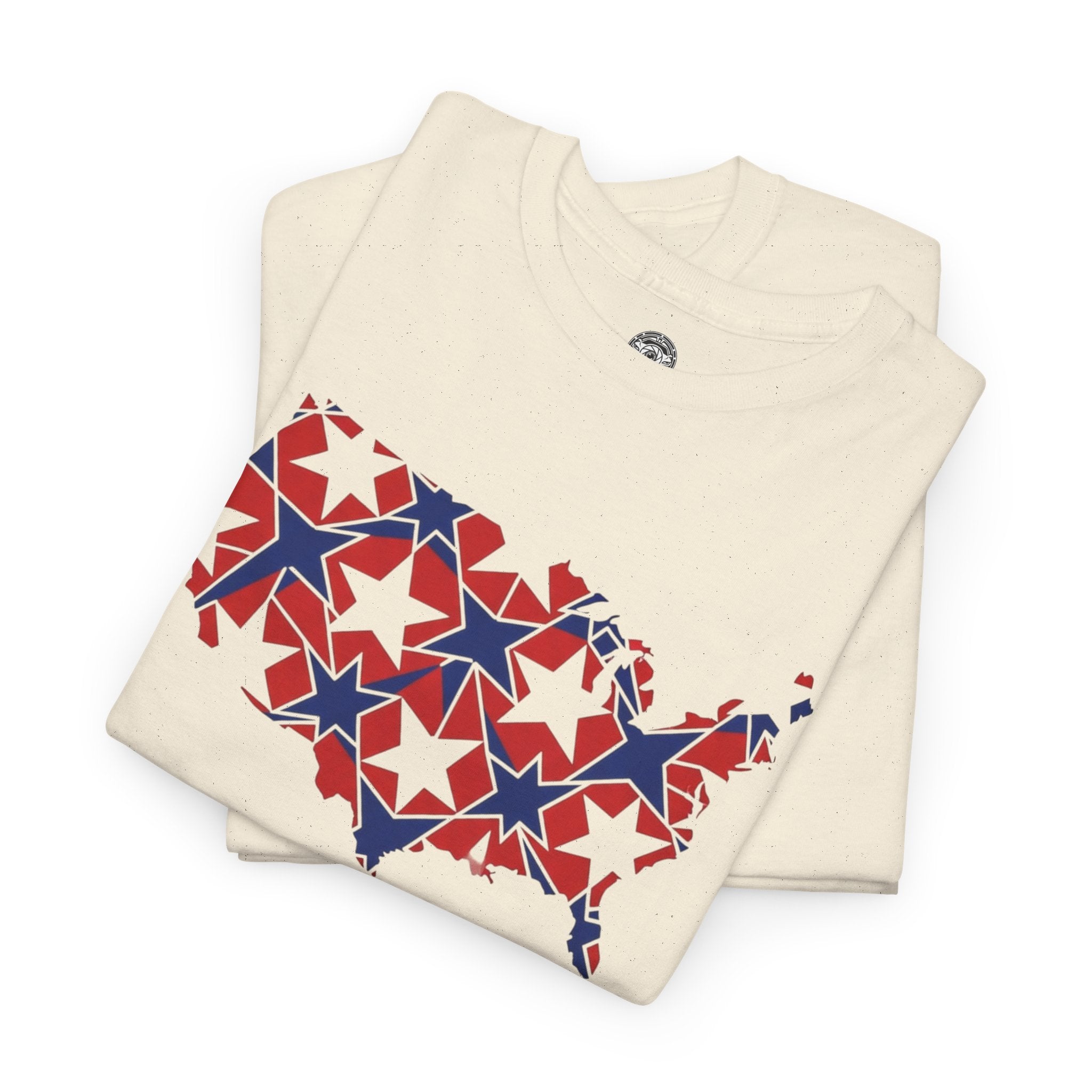 Unisex Heavy Cotton Tee — Land of the Free