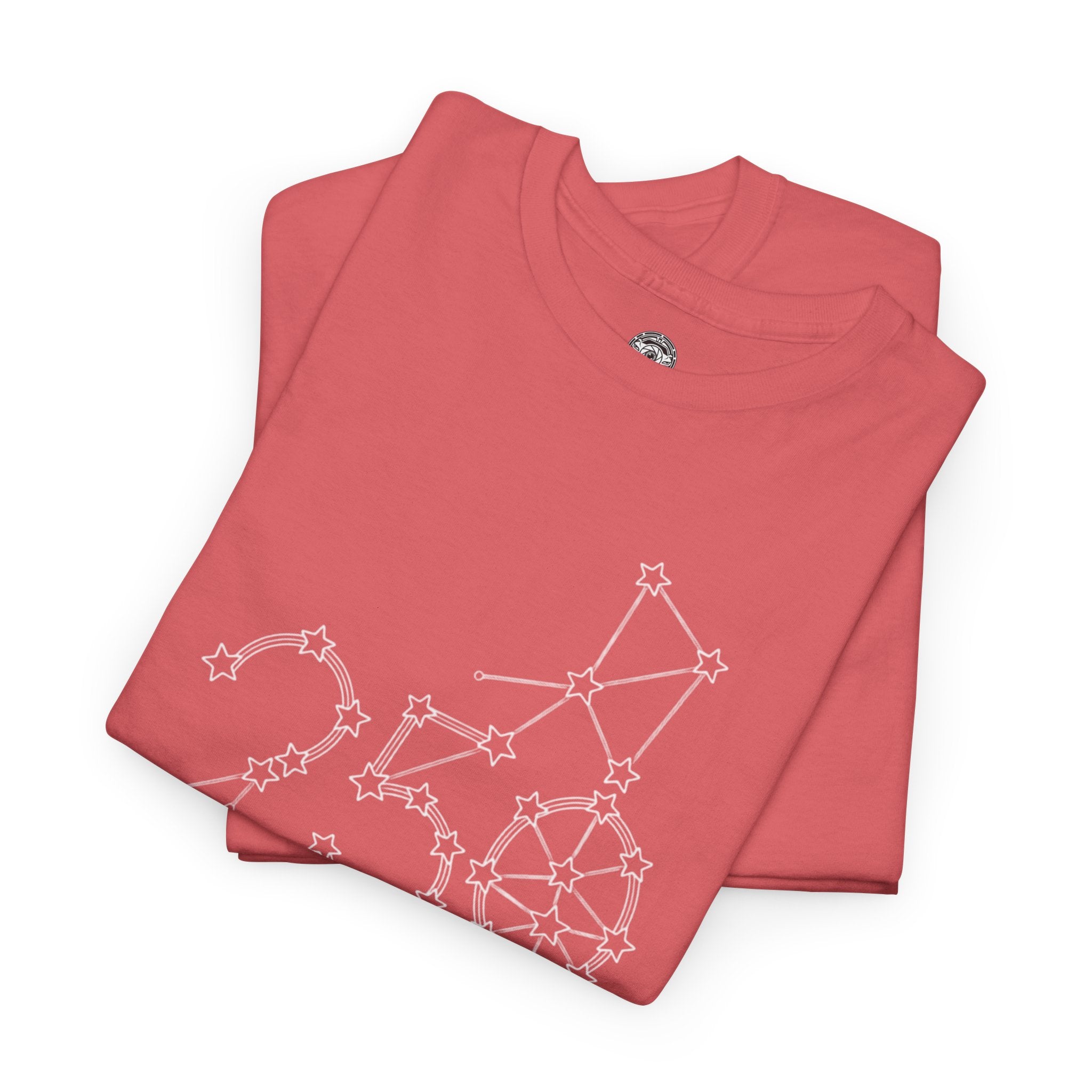 Unisex Heavy Cotton Tee — 250th Anniversary "United We Stand"