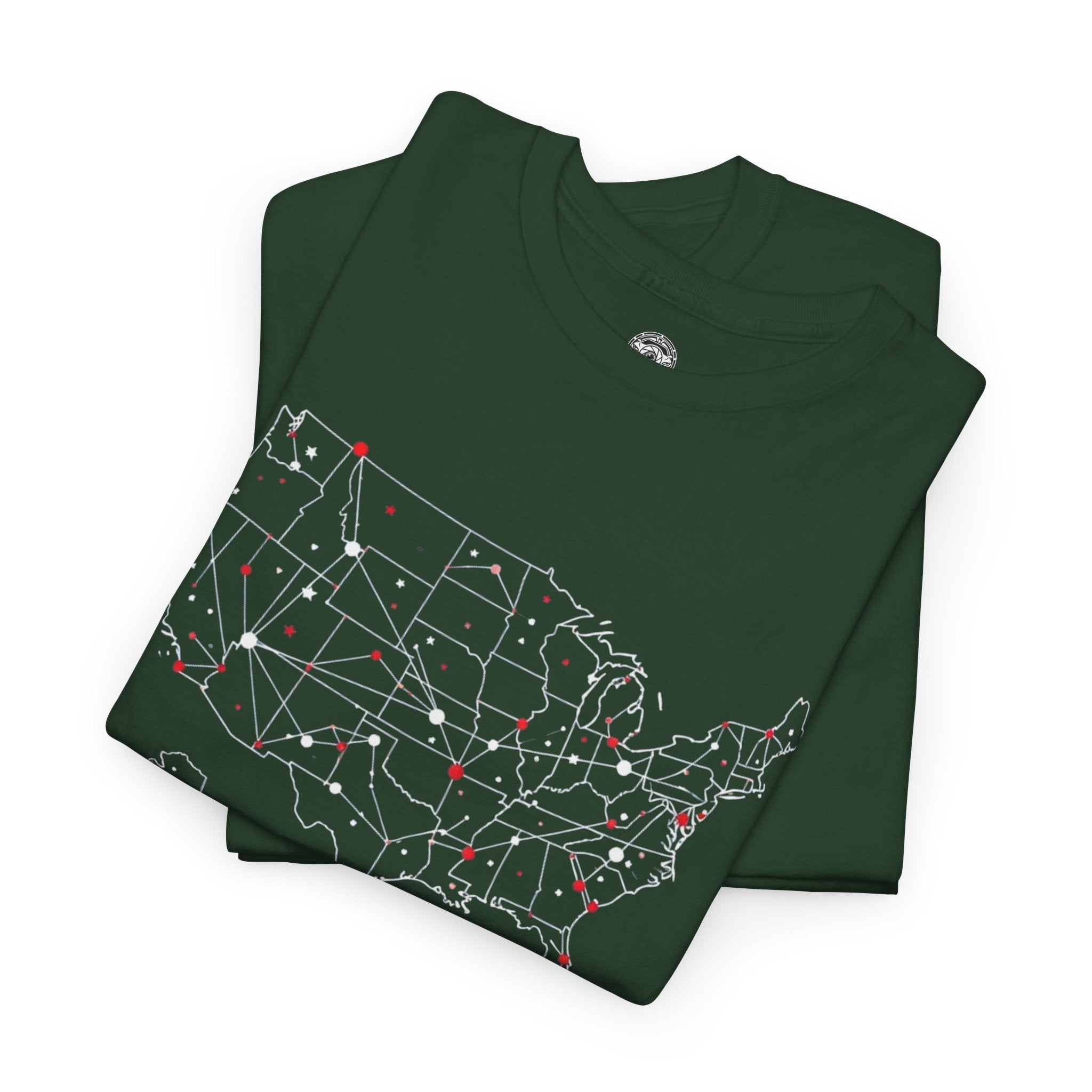 Unisex Heavy Cotton Tee — United States of America Est. 1776