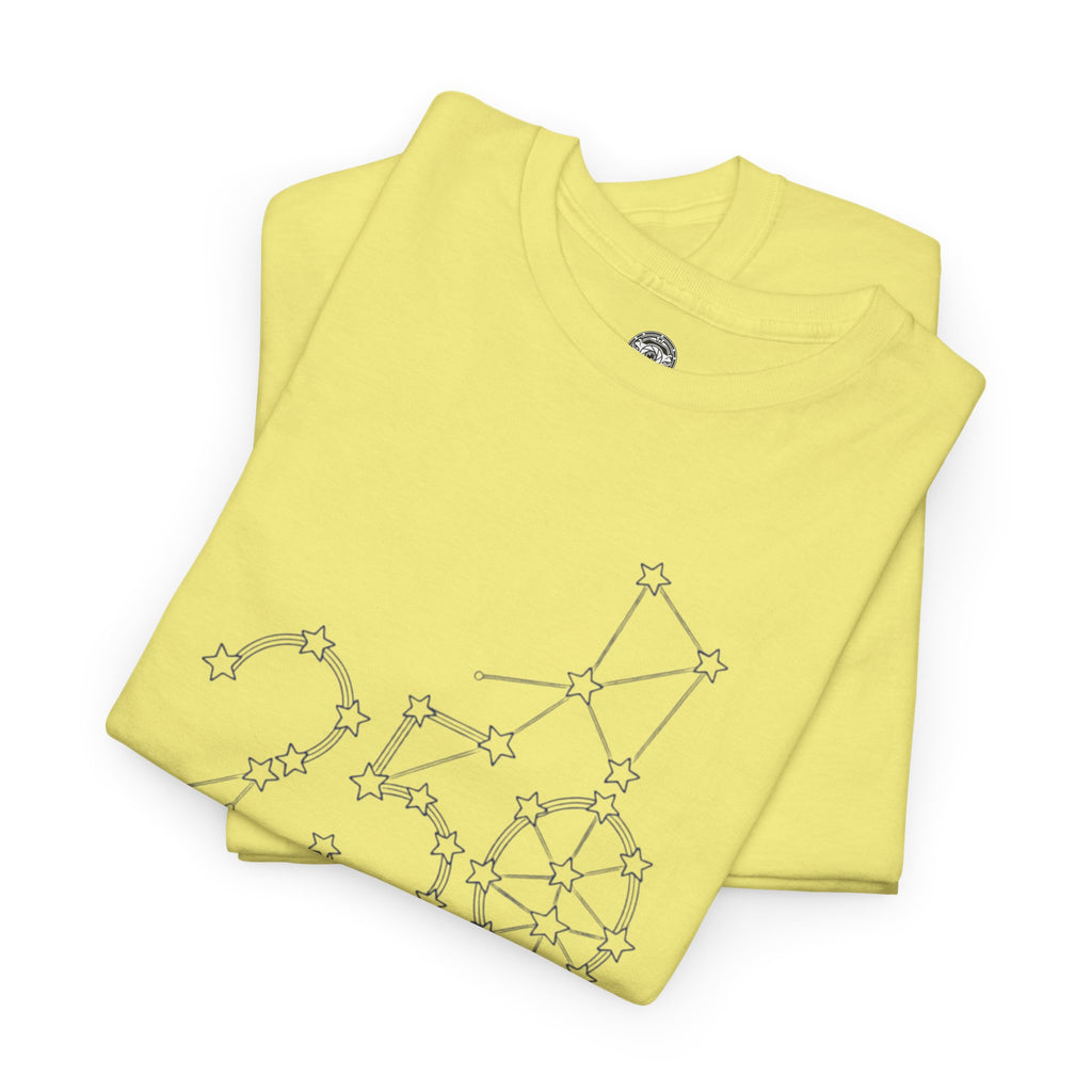 Unisex Heavy Cotton Tee — 250th Anniversary "United We Stand"