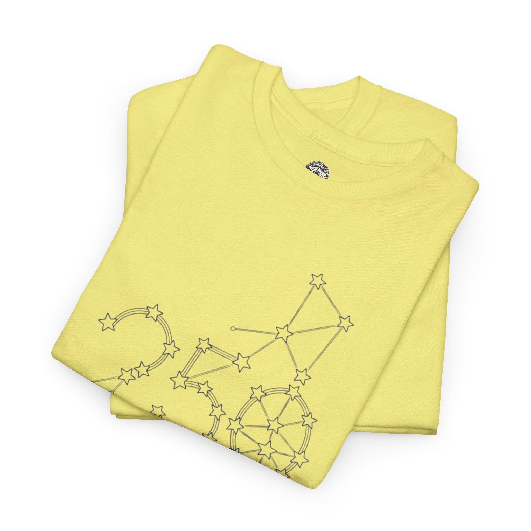Unisex Heavy Cotton Tee — 250th Anniversary "United We Stand"