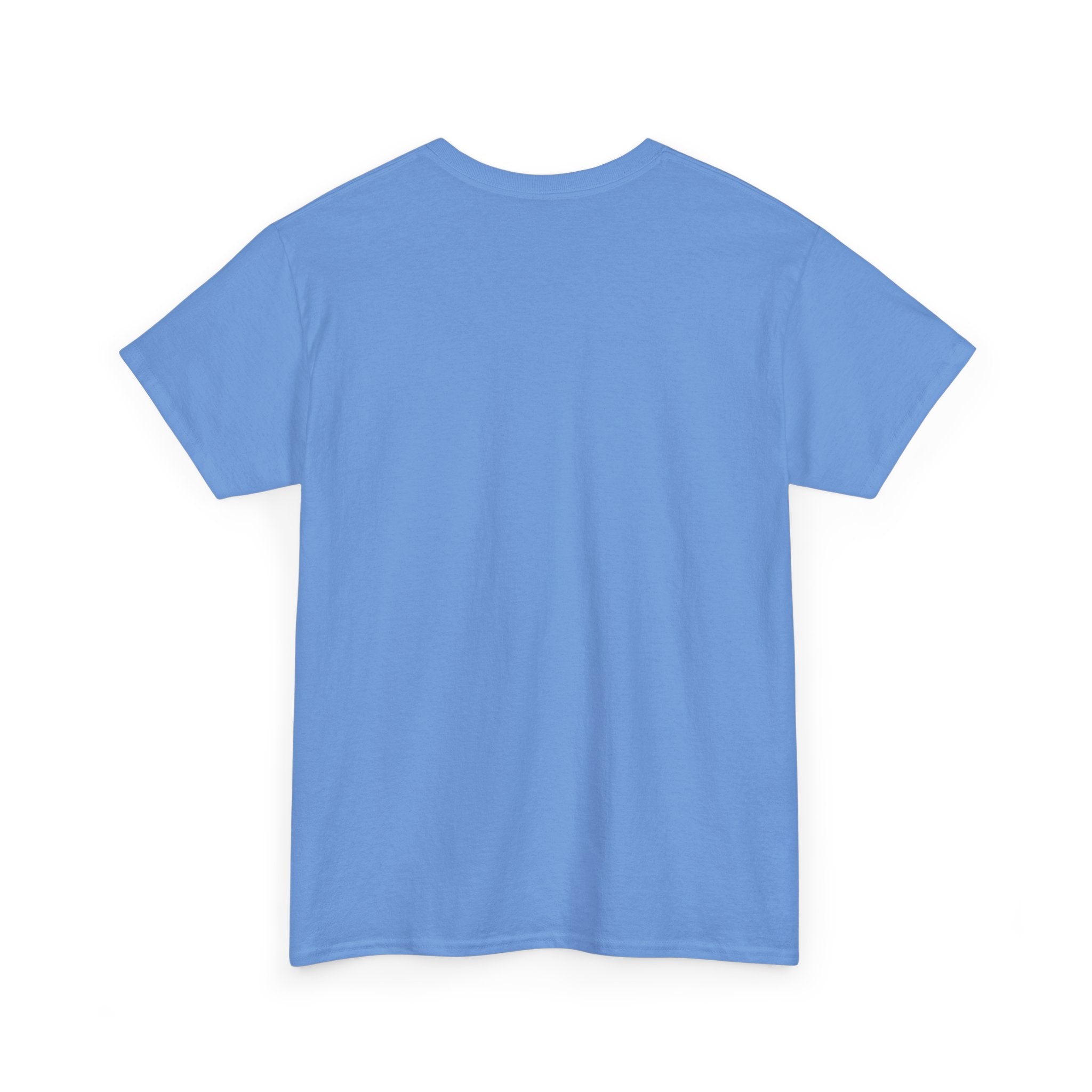 Unisex Heavy Cotton Tee — 992 Rear Profile
