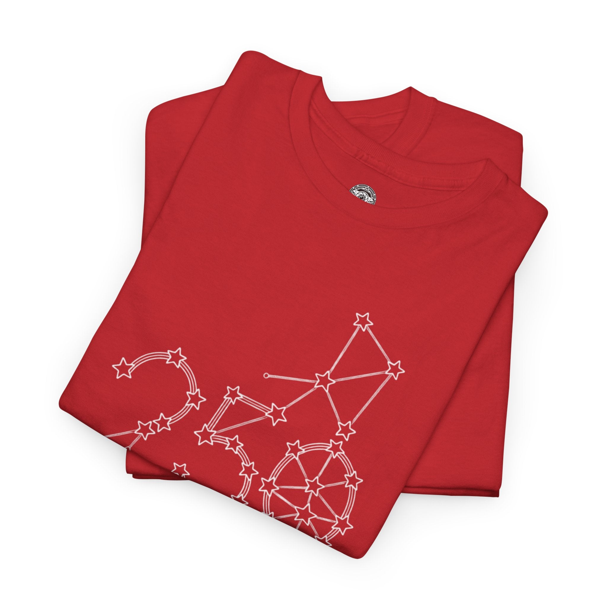 Unisex Heavy Cotton Tee — 250th Anniversary "United We Stand"
