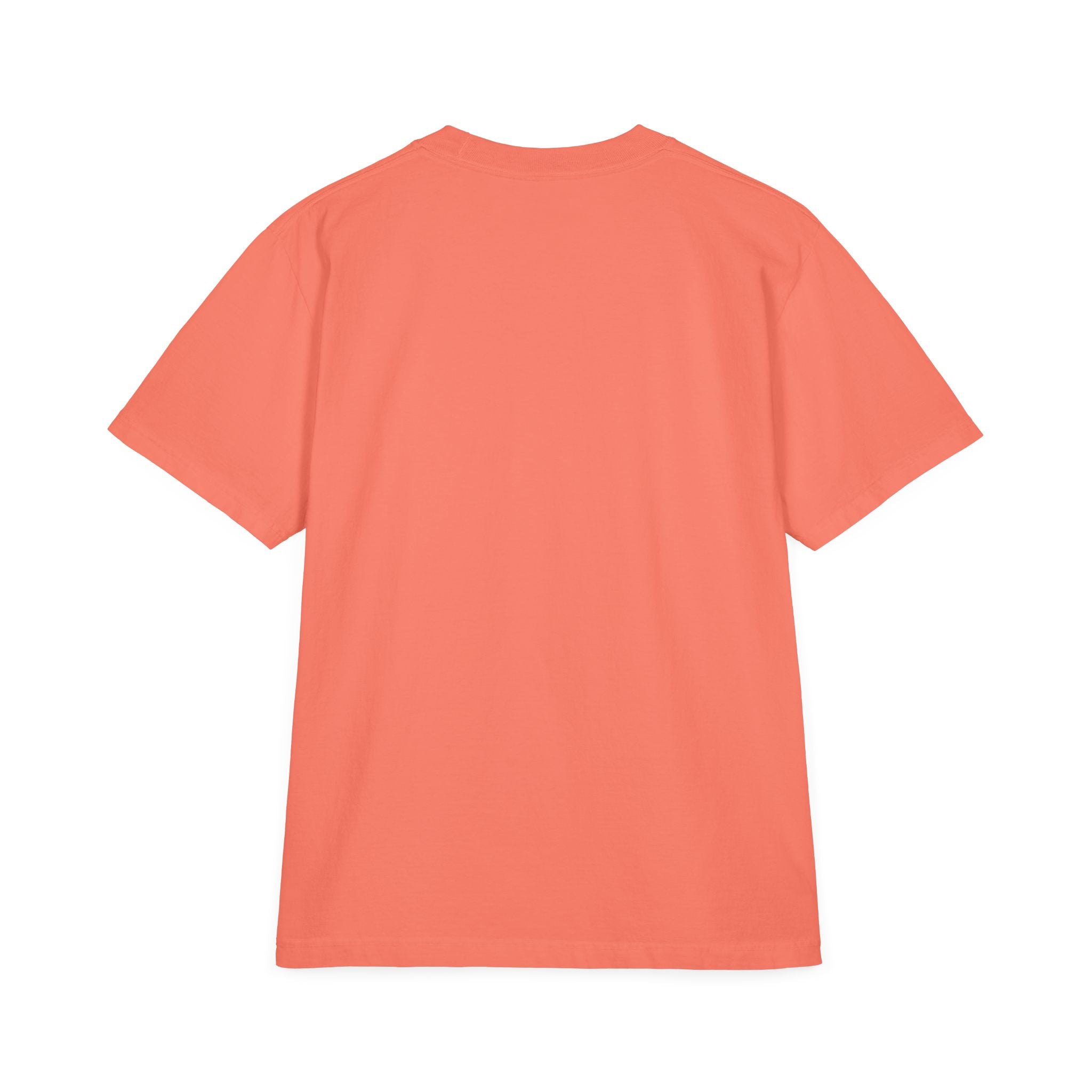 Unisex Garment-Dyed T-Shirt — Eagle Sketch 'The Land of the Free'