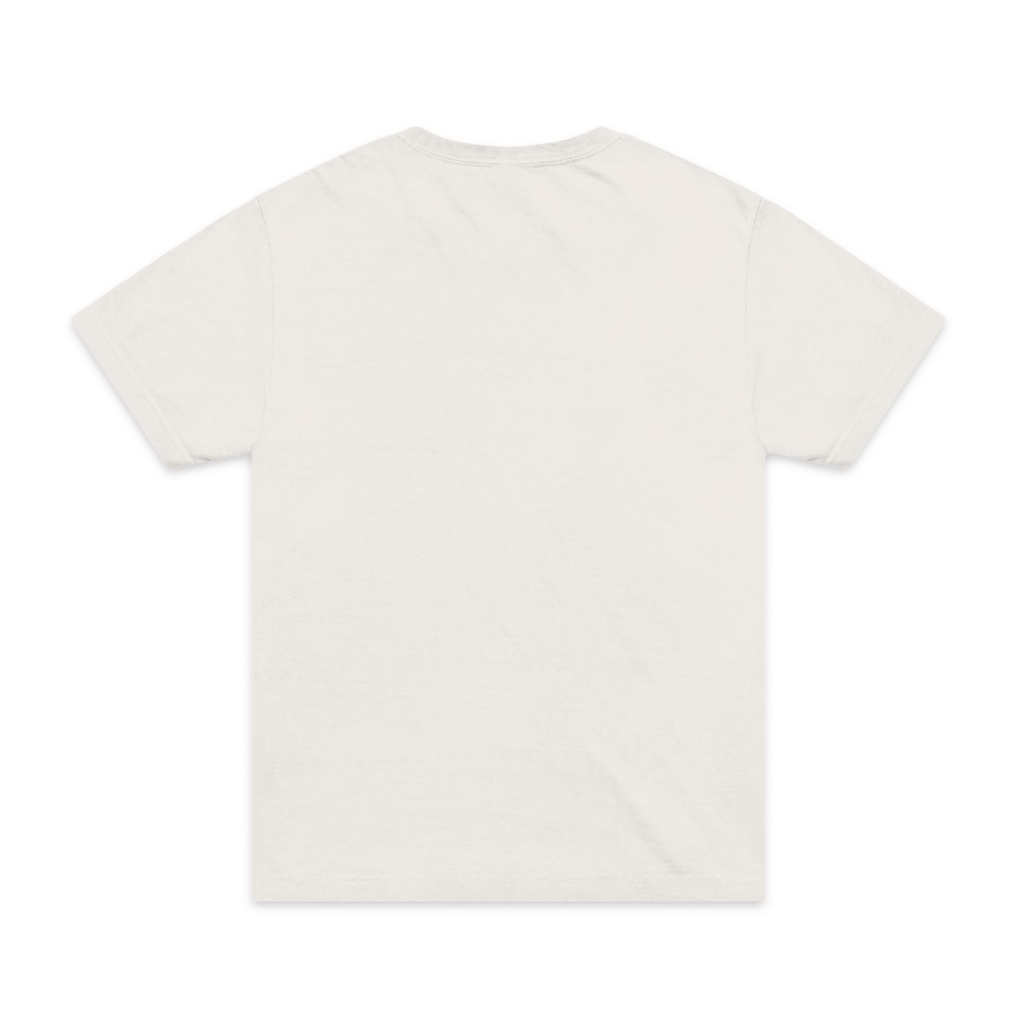 Unisex Garment-Dyed T-Shirt — F80 Blueprint